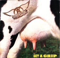 CD Aerosmith - Get a grip (1993)