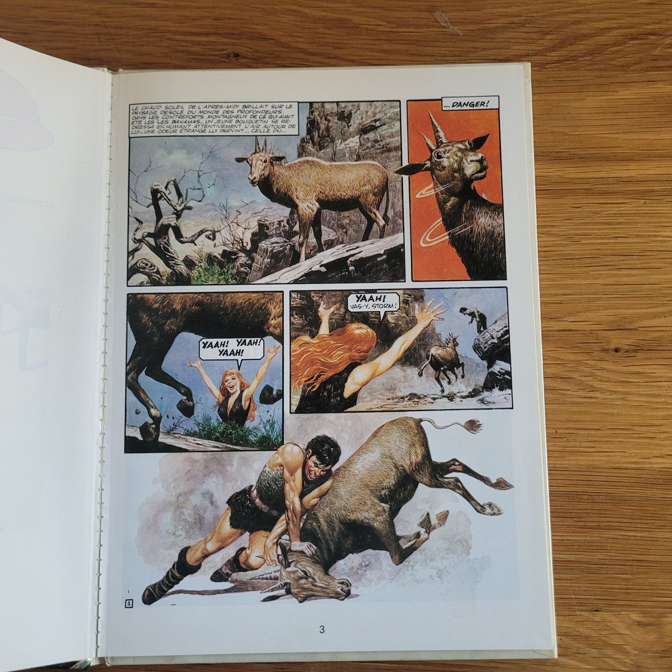 Comics: BD Storm Tome 2. La Dernière Sentinelle – Gebraucht aus Biel/Bienne von Destockweb 2