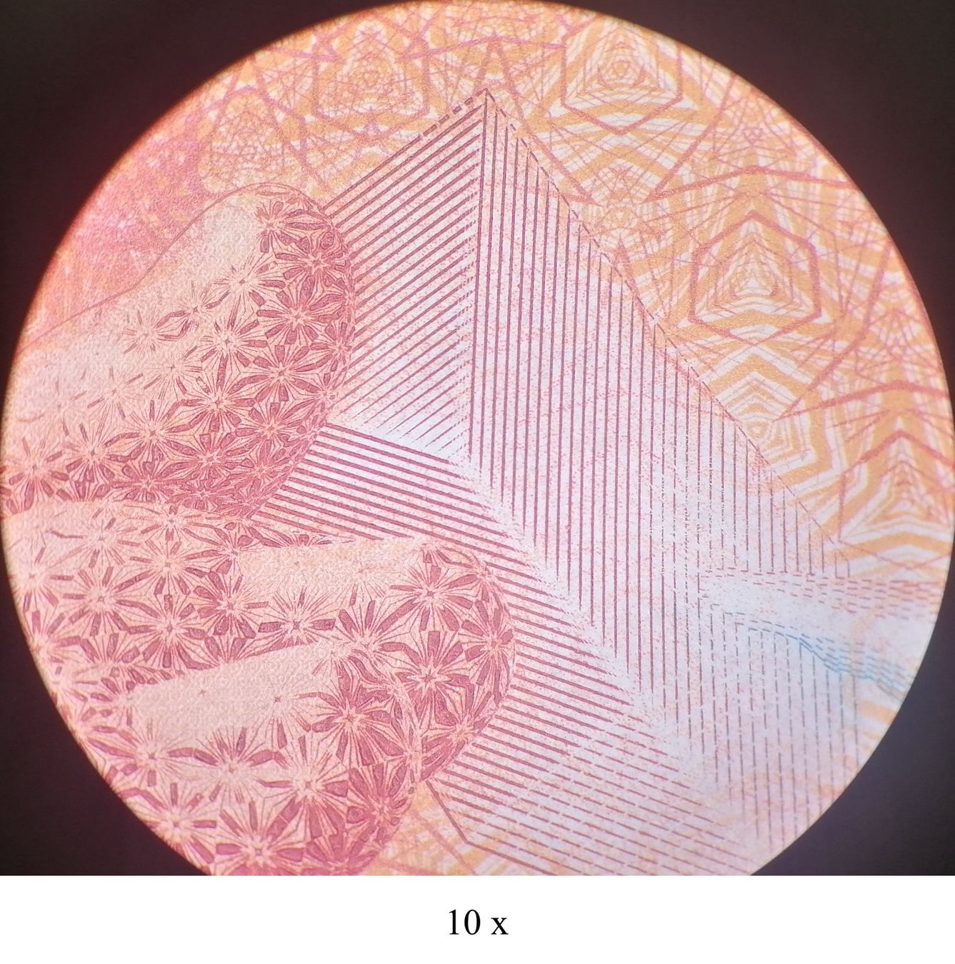 Leica Microscopi: Stereo-Mikroskop LEICA MS5 mit Ringlicht – Usato da Kerns venduto da Tuctuc2 5