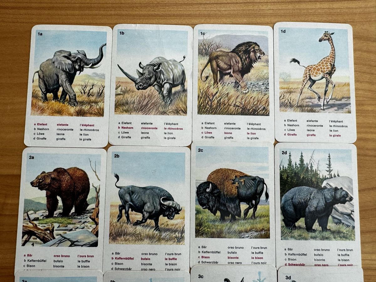 Giochi: TIERWELT QUARRTET von SUCHARD EXPRESS – Usato da Honau venduto da sainj 2