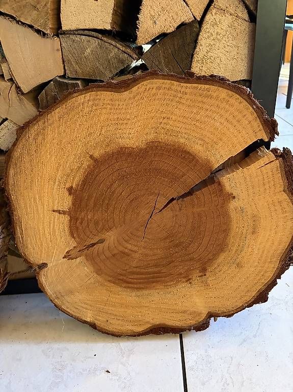 Holzartikel: 4 Holzscheiben, Mammutbaum – Gebraucht aus Rudolfstetten von sonja1963 3