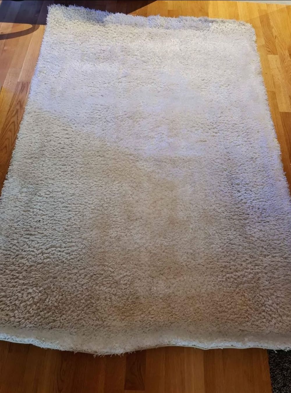 Teppiche: Teppich Schaggy Tempra 130×190 cm – Gebraucht aus Pratteln von bea_bxv5 1