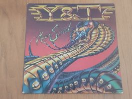 LP  Y & T