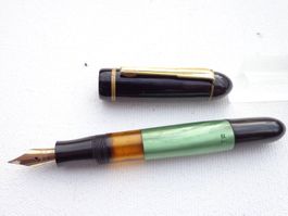 Goldene Work pen 60 FLEX  EF Feder
