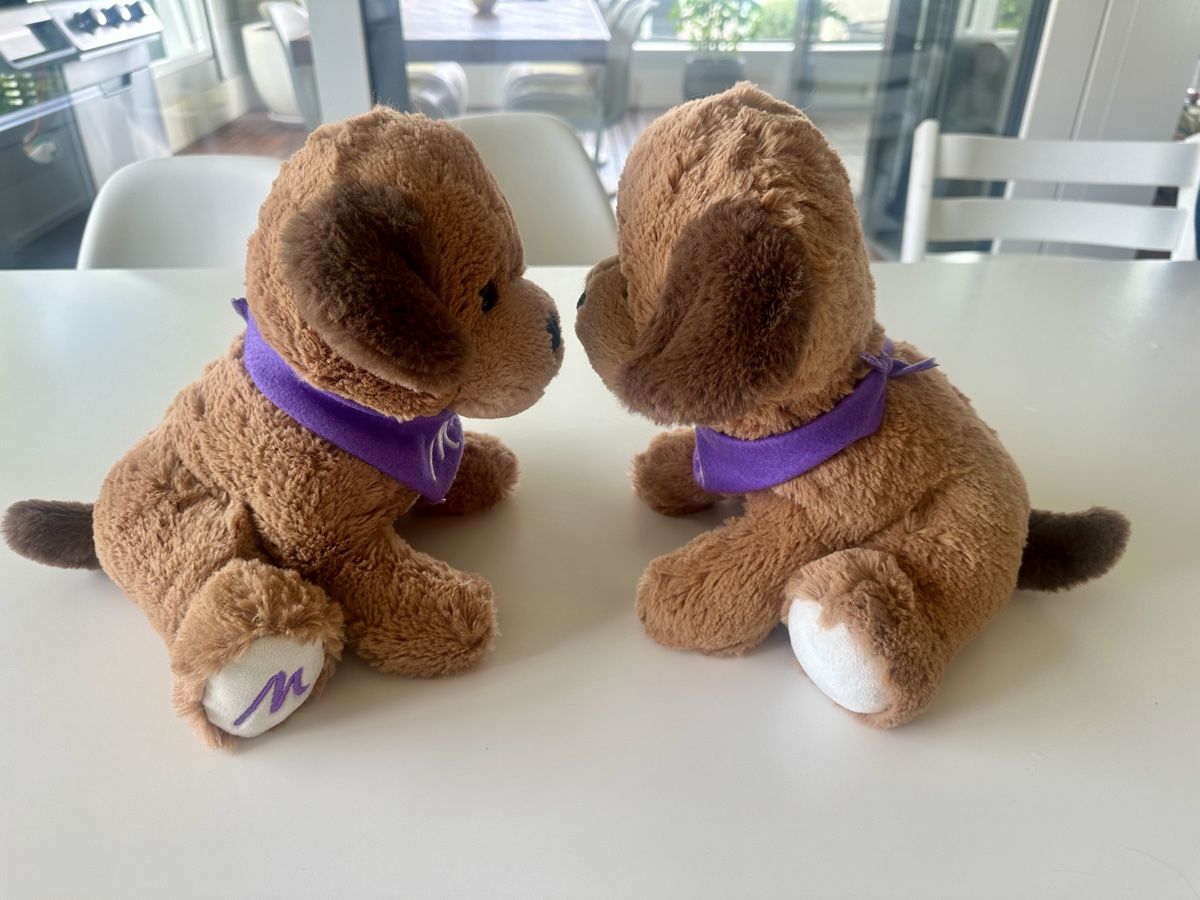 Jouets: Hunde Stofftier 2 Stück – D'occasion à Meggen par kammann 2