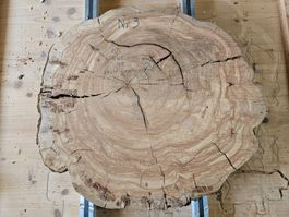Baumscheibe Kirschbaum Holz