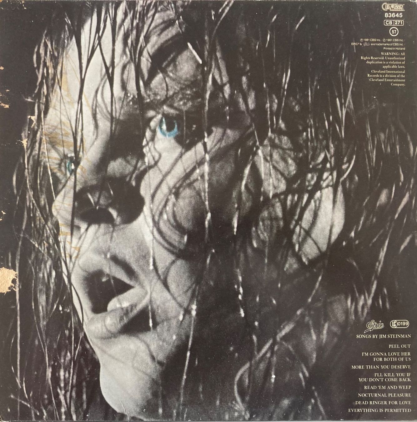 Dischi in vinile: MEAT LOAF - DEAD RINGER – Usato da Poliez-Pittet venduto da Newtown-Records 1