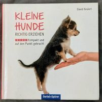 Kleine Hunde richtig erziehen