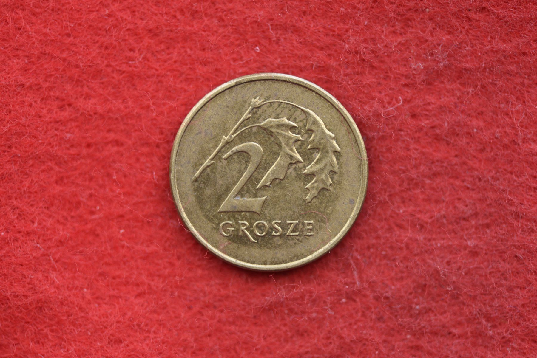 Tutti le monete: währung polska 2009 – Usato da Laupen BE venduto da Gufi57 1