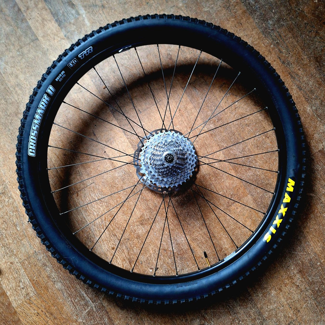 Pneumatici & Ruote complete: Shimano Wheels Set MTB 29" – Nuovo (secondo la descrizione) da Basel venduto da OnutWOODLAND