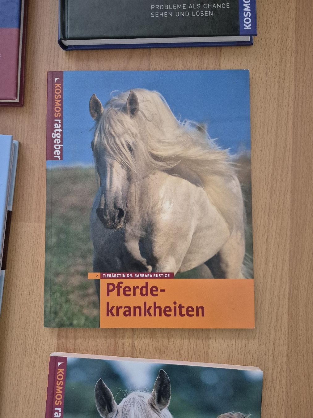 Briglie & Cavezze: Pferdefachbuch "Pferdekrankheiten" – Usato da Meggen venduto da Orrinka20