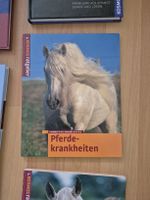 Pferdefachbuch "Pferdekrankheiten"