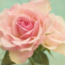 Profile image of FANTASTICTREASURES