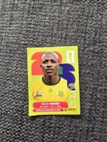 Panini RSA 9