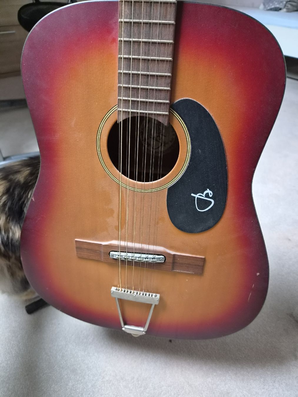 Instruments de musique: Gitarre 12 Saiten – D'occasion à Pfungen par Paff77 1