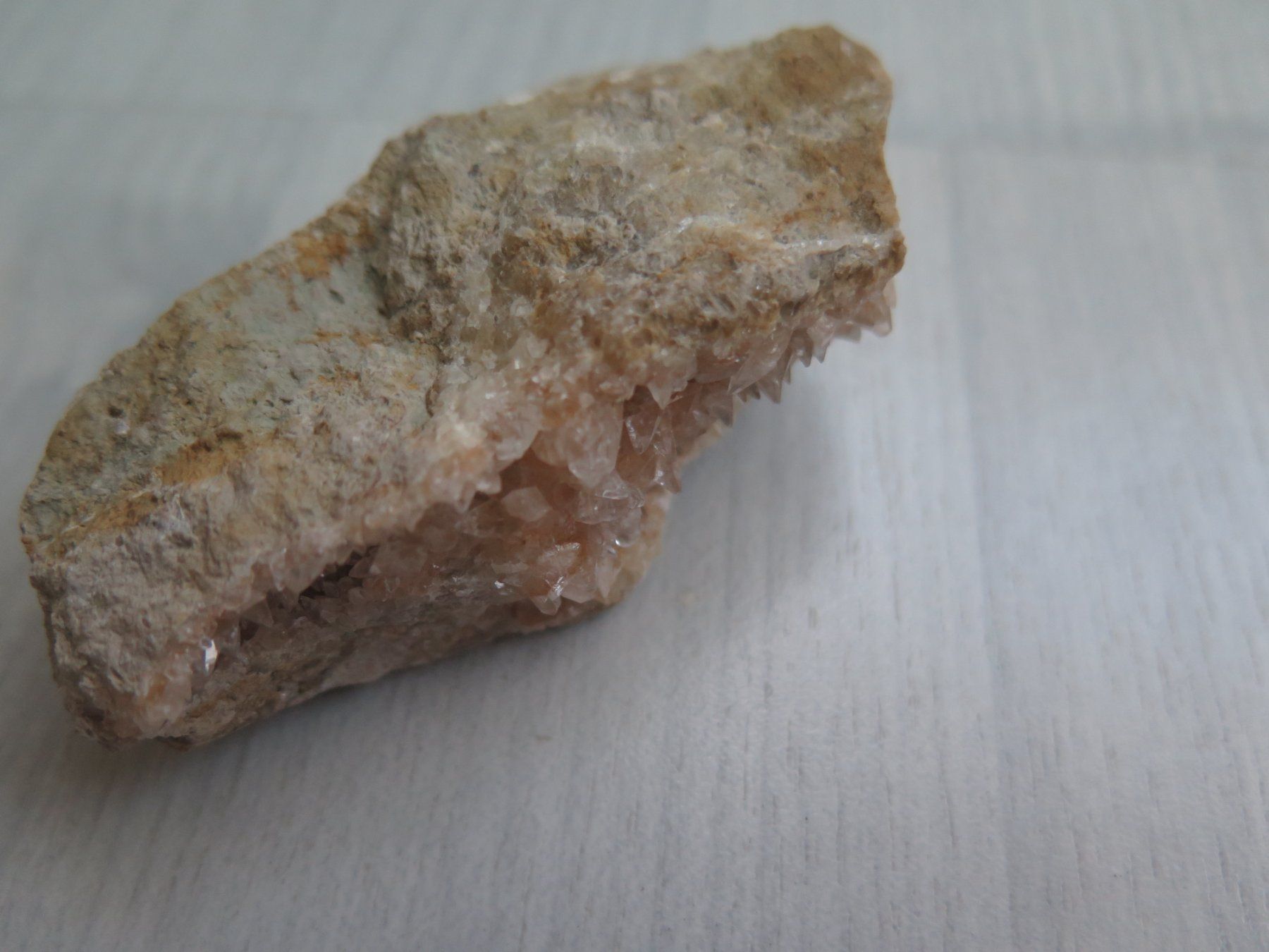 Minéraux & Lithothérapie: Fossil und eine Calcit Stufe – D'occasion à Schaffhausen par Yamakana51L8736OQ8 8