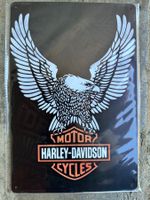 Motor Harley Davidson cycles adler