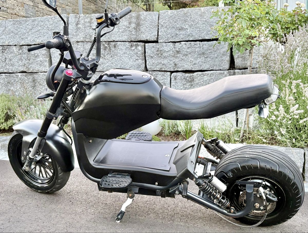 Züriflizzer Scooters: City Max RS Pro – D'occasion à Rudolfstetten par Hansbrunnen 4