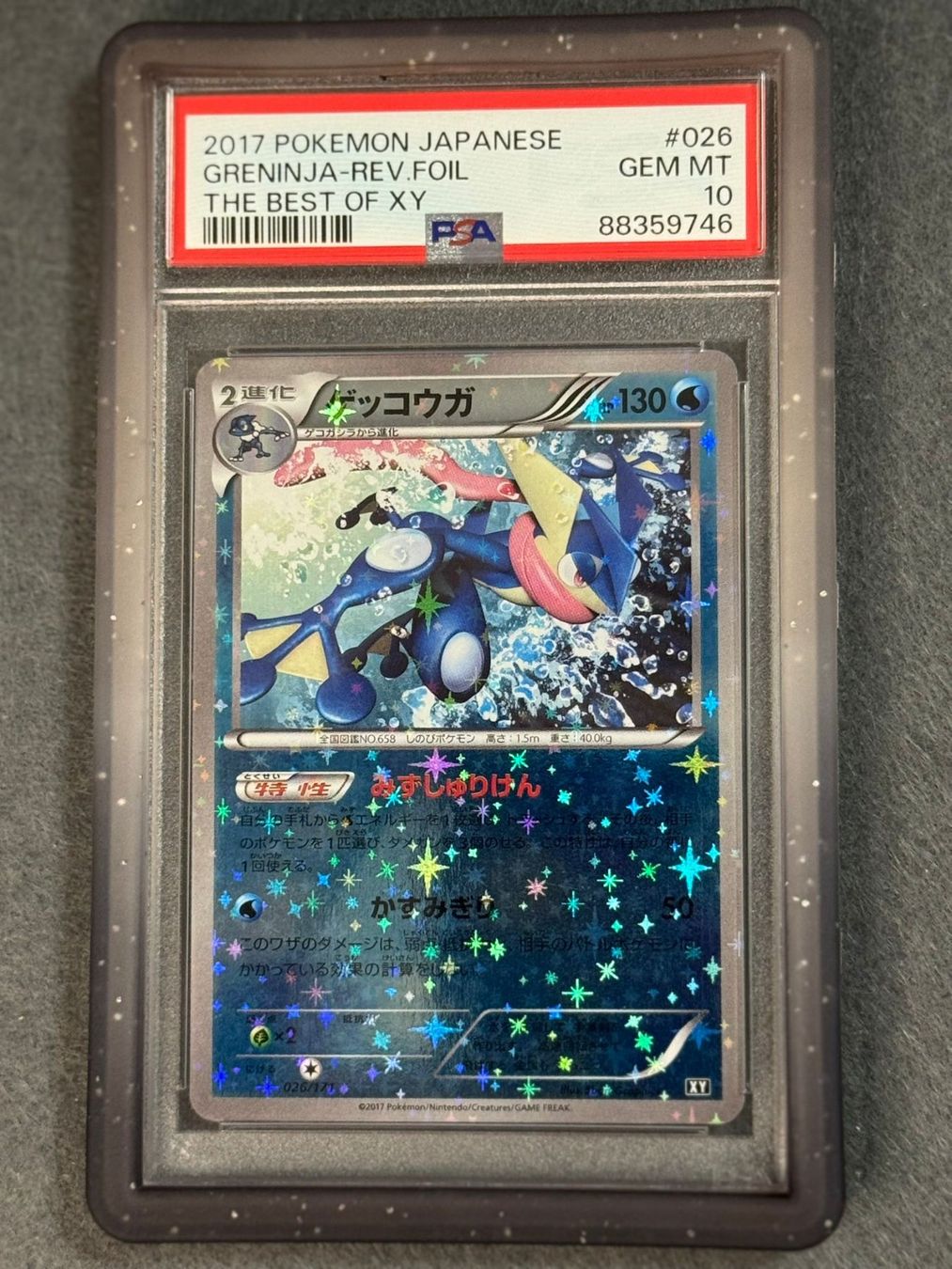 Pokémon Carte collezionabili: Black/Grey Slab Protector | Guard | PSA | NEW Pokemon – Nuovo e nell'imballaggio originale da Oensingen venduto da CSCollectors 2
