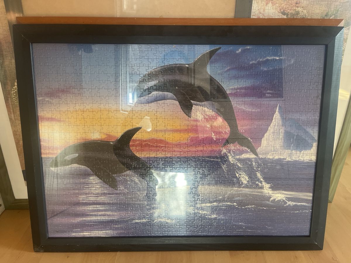Foto & Immagini: Delfin Puzzle im Rahmen, 1000 Teile – Usato da Kaisten venduto da saleforfun