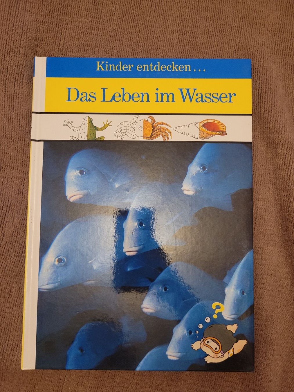 Bücher: Kinderbuch "Das Leben im Wasser" 🐠 – Gebraucht aus Perlen von Safari_23