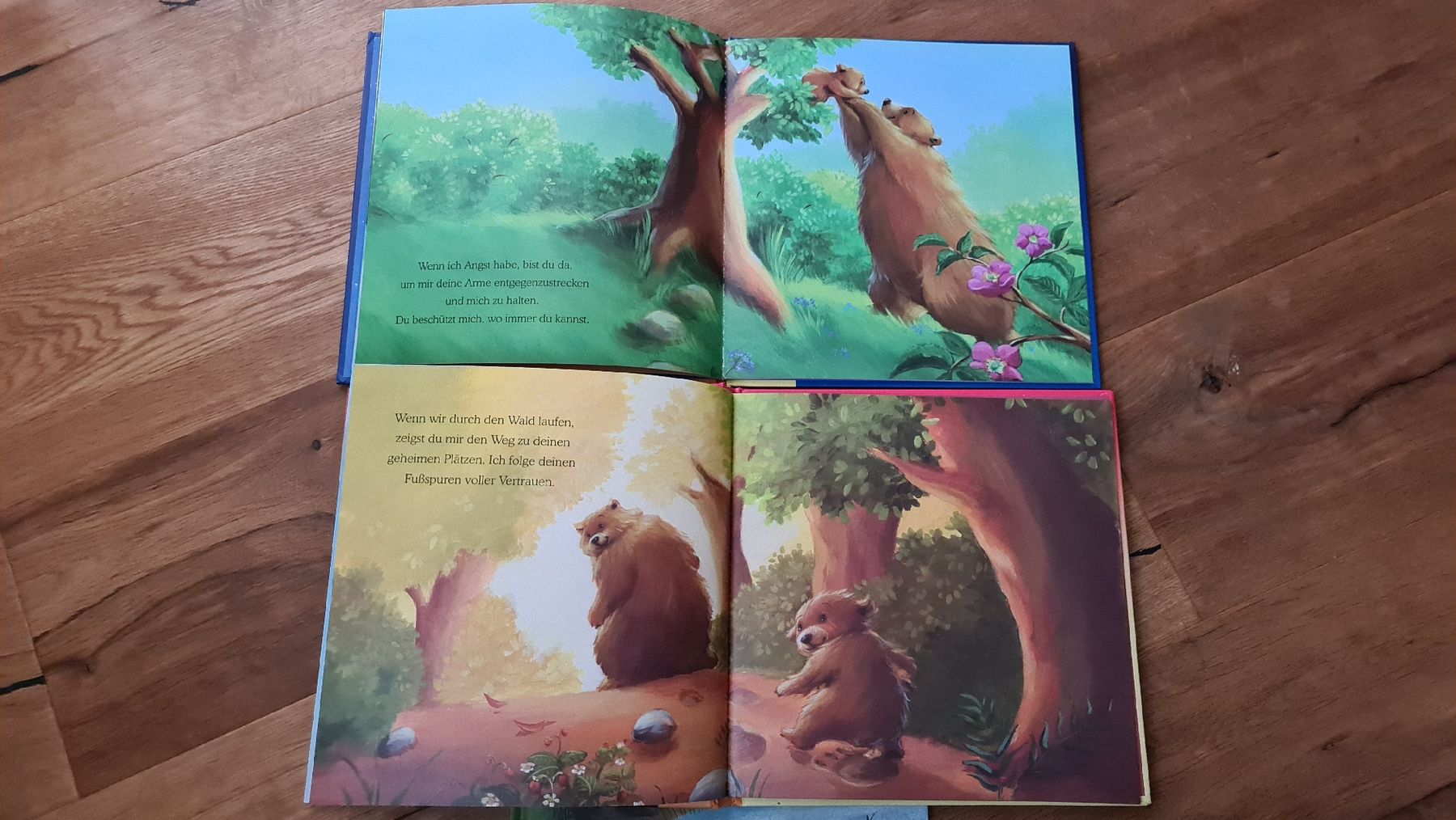 Libri: kinder bücher set – Usato da Wittenbach venduto da Tigerlili 7