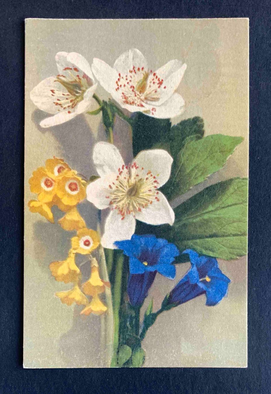 Cartoline postali: AK Blumenstrauss Kunstkarte 1938 – Usato da Goldau venduto da Balkonia09