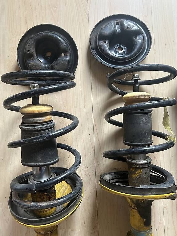 Il mondo degli animali: Amortisseurs Bilstein Lancer EVO 7 8 9 – Usato da Cernier venduto da eliasi2706 1