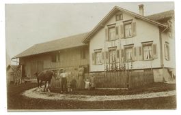 unbekanntes Appenzeller Bauernhaus (AI/AR) Familie - Pferd