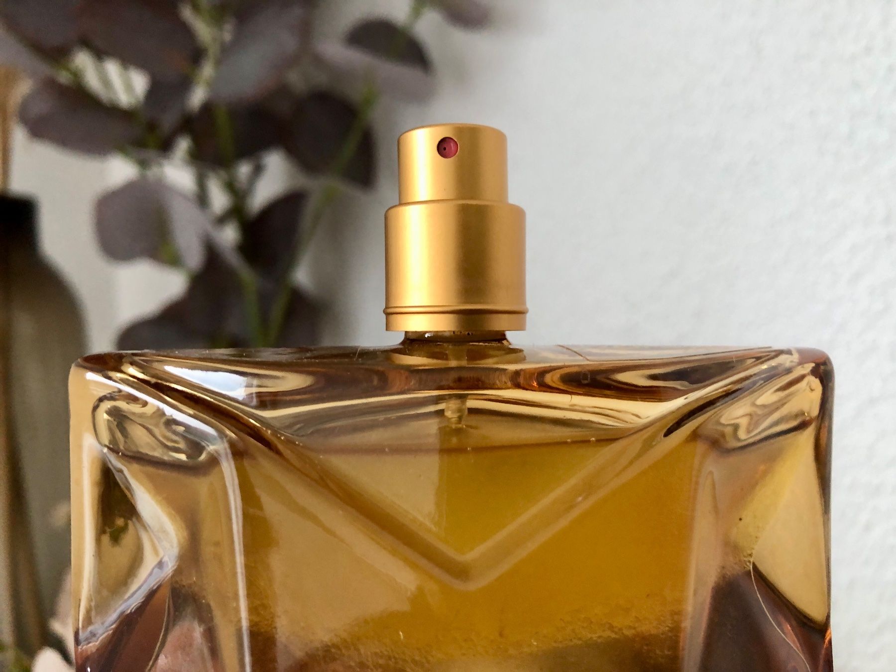 Profumi & Eau de Toilette: Orebella Blooming Fire von Bella Hadid – Usato da Schlossrued venduto da tinurued 2