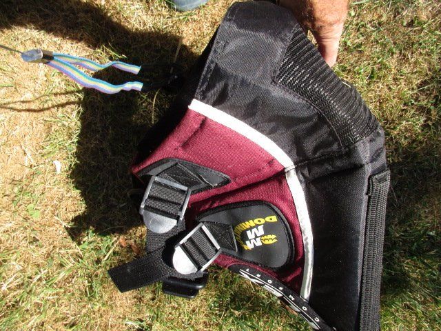 Surfboards & Schwimmbrette: Trapez Windsurf Magic Maui   Grösse M L – Gebraucht aus Ottikon von Locomotive01 5