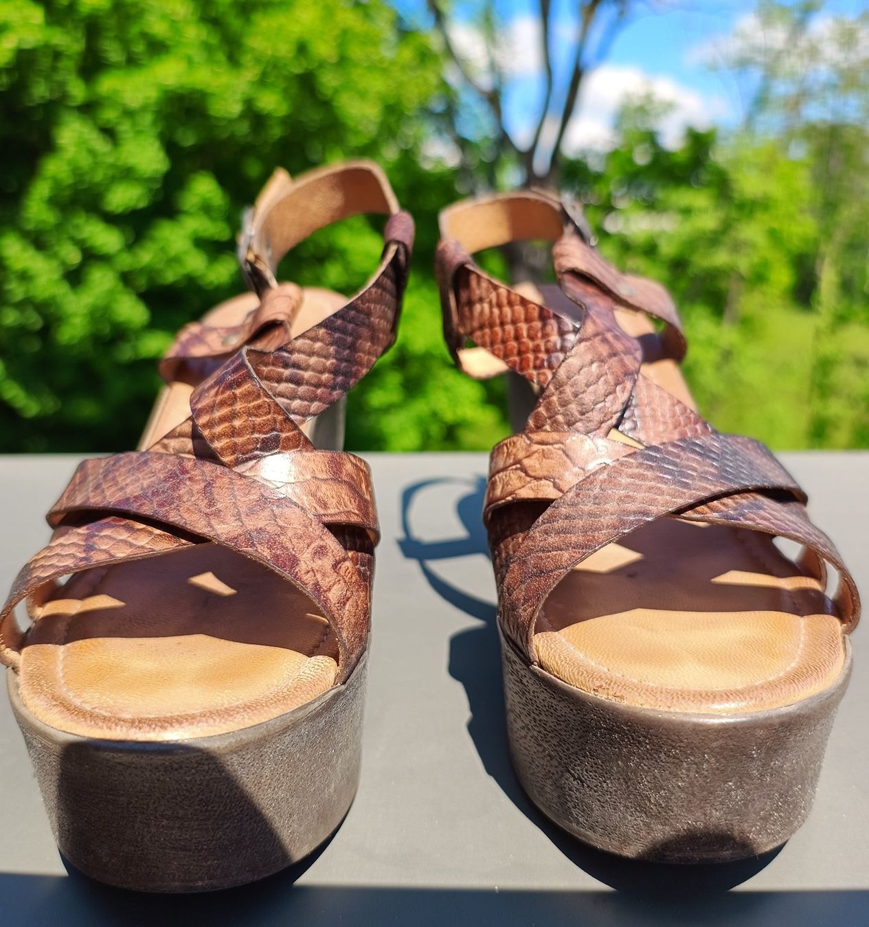 Damenschuhe: Sandales compensées Primadonna Collection en cuir T39 – Neu (gemäss Beschreibung) aus Genève von Brachiopode 2