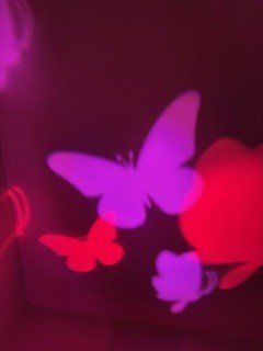 Lampade: Schmetterling-LED-4W – Nuovo (secondo la descrizione) da Dietikon venduto da Ruempfli 4