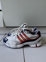 Ozweego pro Adidas (size 43)