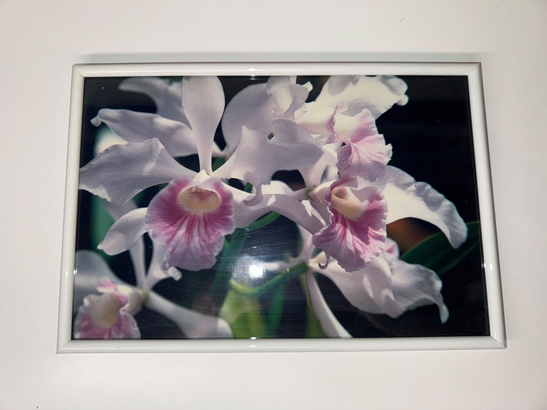 Cornici: Weisser Bilderrahmen mit Orchideenbild 20x31cm – Usato da Grosswangen venduto da Second_hand_paradise