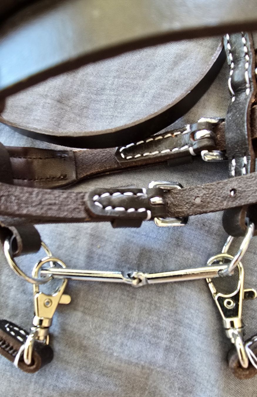 Giocattoli: Hobbyhorse Zaumzeug – Nuovo (secondo la descrizione) da zürich venduto da Wunderkind 1