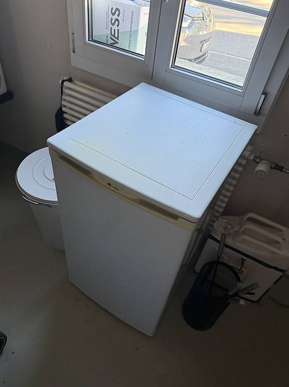 Congelatori: PrimaVista TK60 Gefrierschrank – Usato da Buchberg venduto da the_w8gy 2
