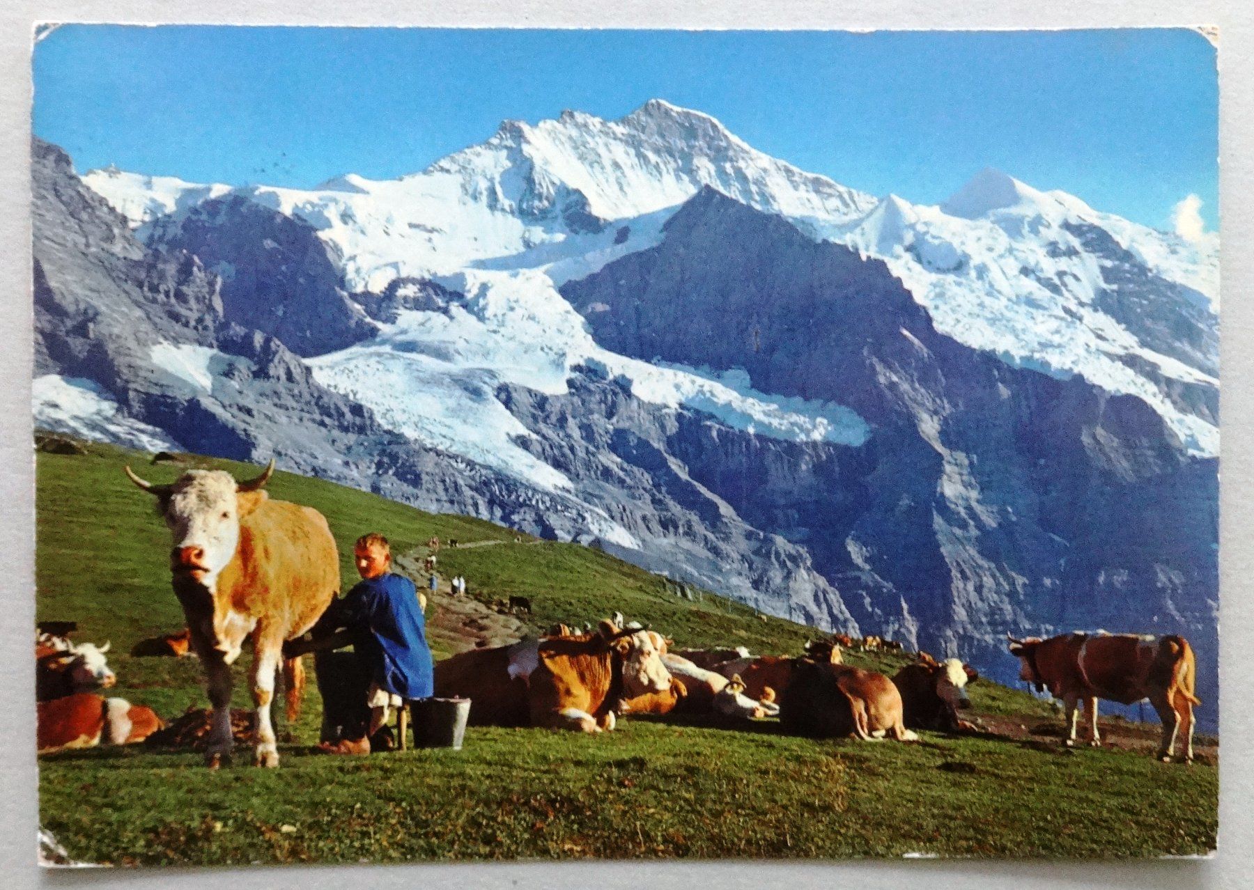 Cartes postales: Kleine Scheidegg 2061 m – Défectueux à Fétigny par Billy2miny