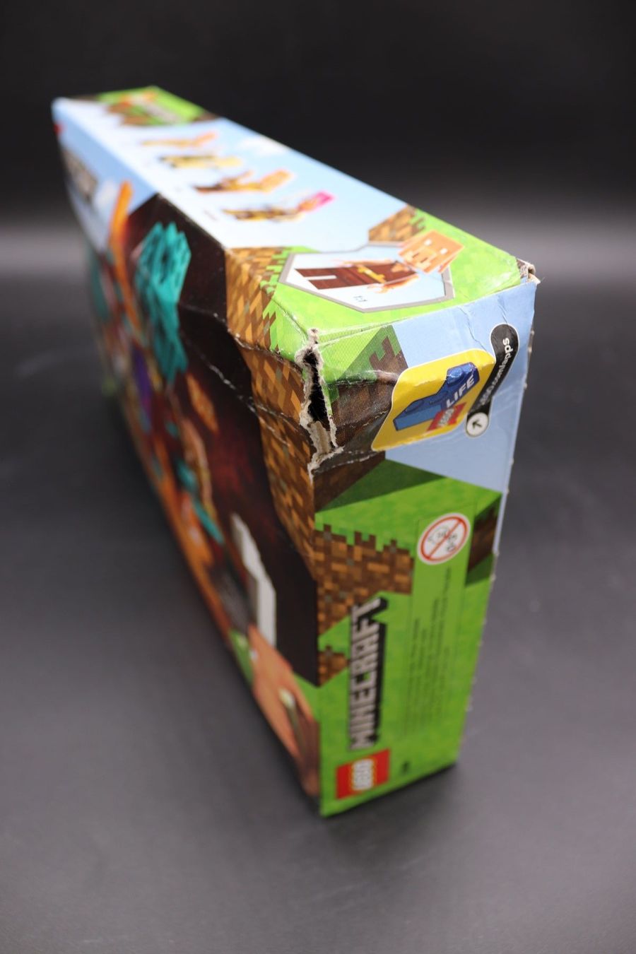 Lego Giocattoli: LEGO 21168 Minecraft The Wraped Forest  – Usato da Hinterforst venduto da -KINGPIN- 1