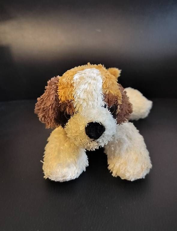 Giocattoli: Hund Plüschtier  – Usato da Kehrsatz venduto da BPortmannn 1