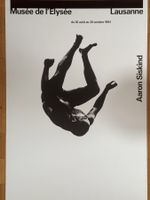 AARON SISKIND Plakat Poster Musée de l'Elysée Weltformat