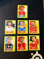 Panini FIFA World Cup Stickers United Edition