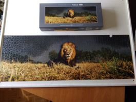 Puzzle Löwe  1000 Teile ( 999) für 6.---Fr