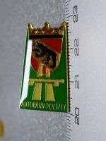 PIN PINS POLIZEI POLICE