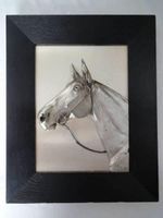Relief - Pferdekopf -