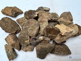 Bernstein  Amber   grosse Brocken    woodamber  aus Sumatra