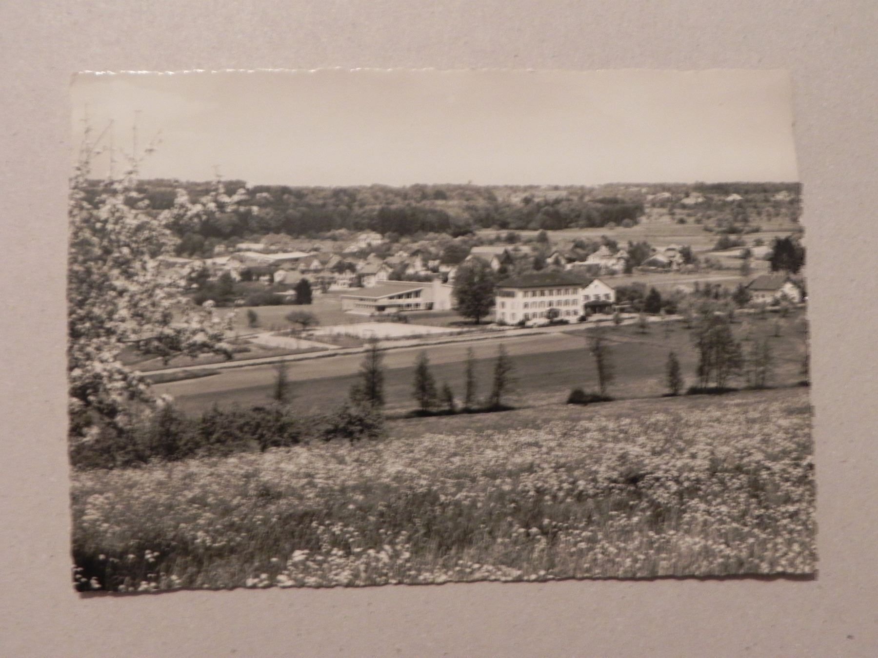 Cartoline postali: Ansichtskarte Erlen Thurgau TG 1960 – Usato da Siebnen venduto da krimsie