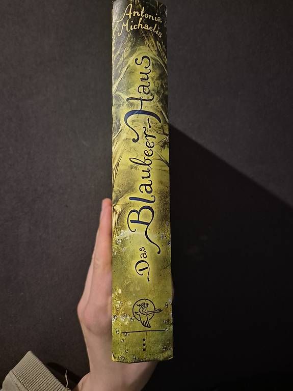 Libri: Das Blaubeerhaus – Usato da Nürensdorf venduto da luc_9ksf 2