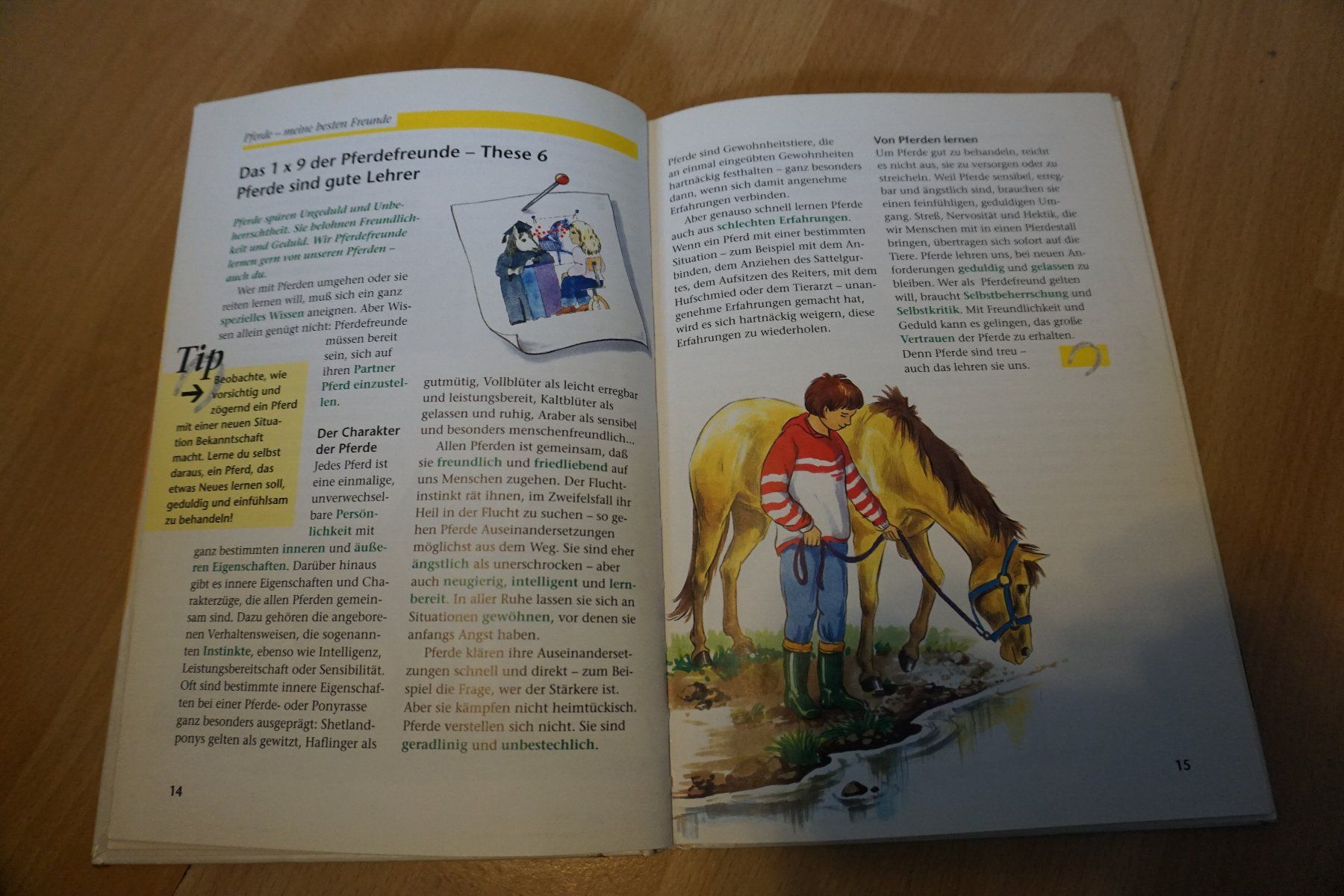 Libri: Pferde-meine besten Freunde – Usato da Zürich venduto da einalemjena 2