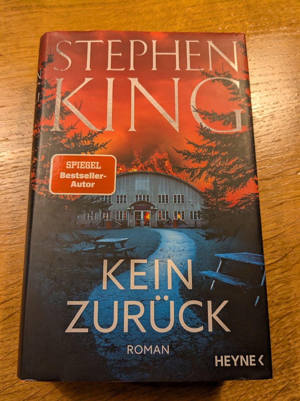 Libri: Stephen King: "KEIN ZURÜCK" – Usato da Wohlen AG venduto da merkur0300